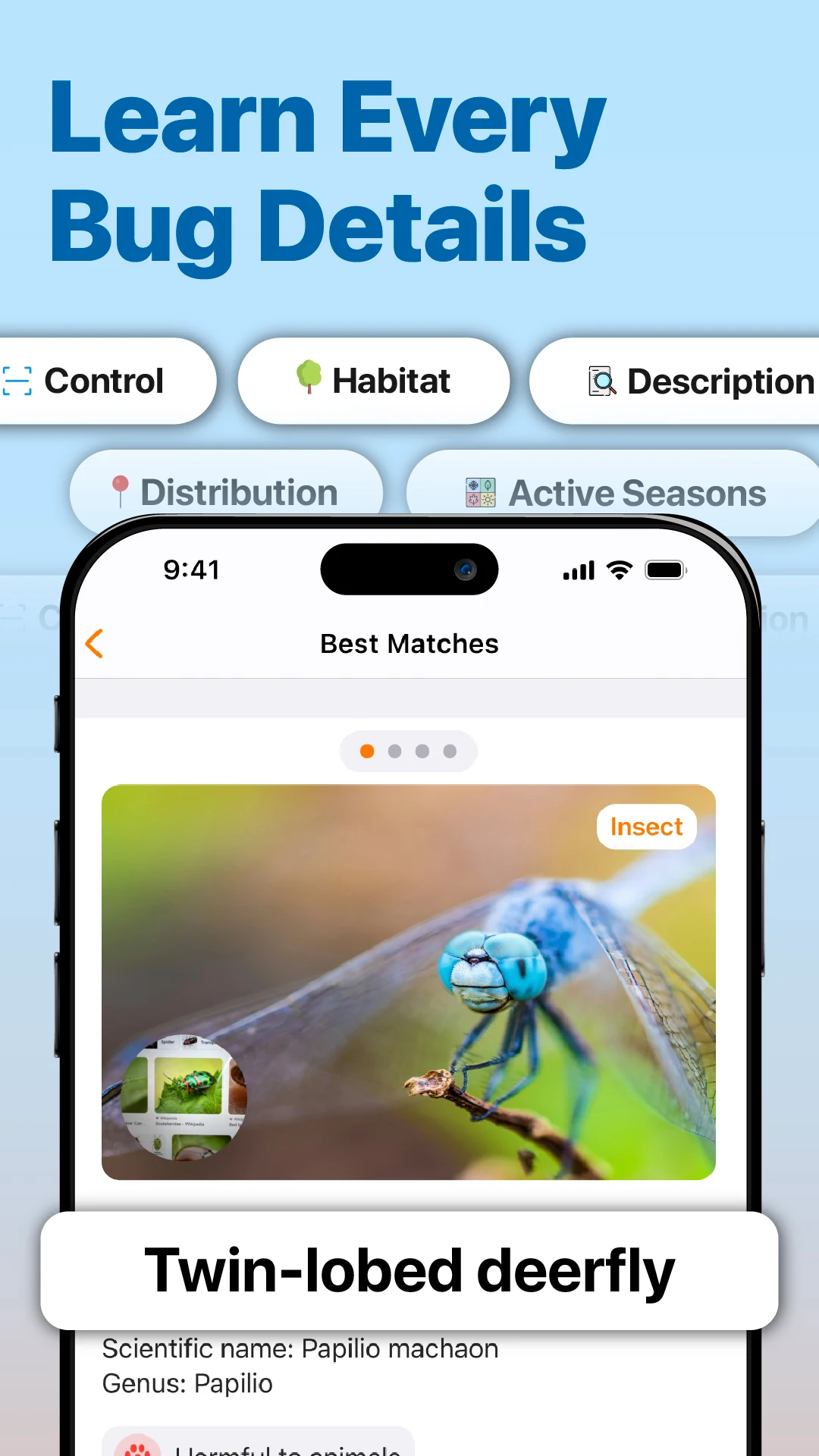InsectAI - Bug Identifier